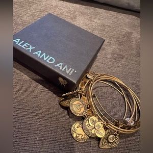 Alex and Ani 6 bangle set